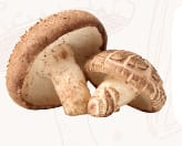Shiitake
