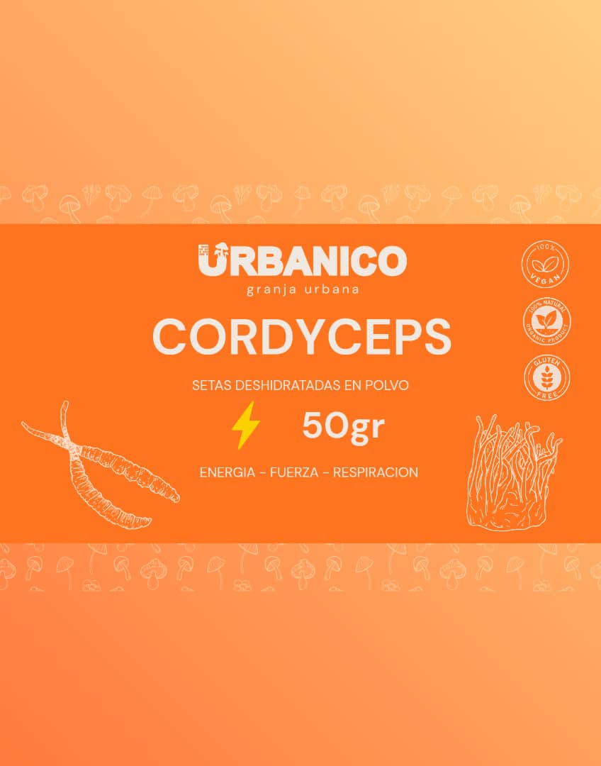 Cordyceps en polvo