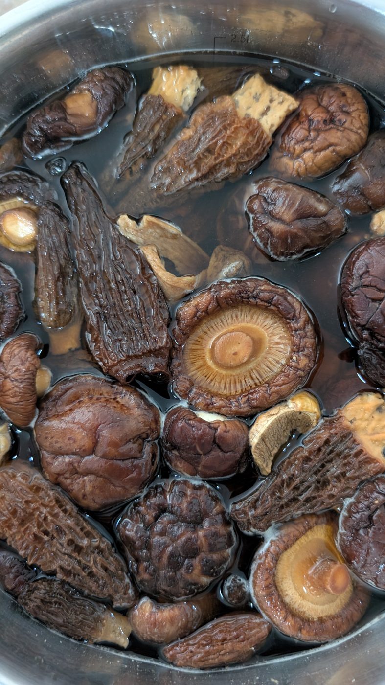 Shiitake blanco deshidratado
