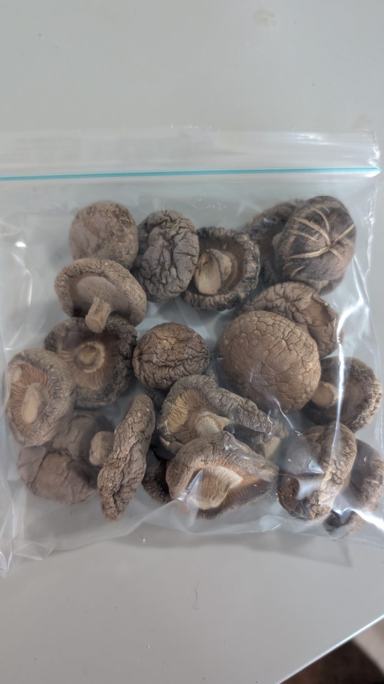 Shiitake comun deshidratado